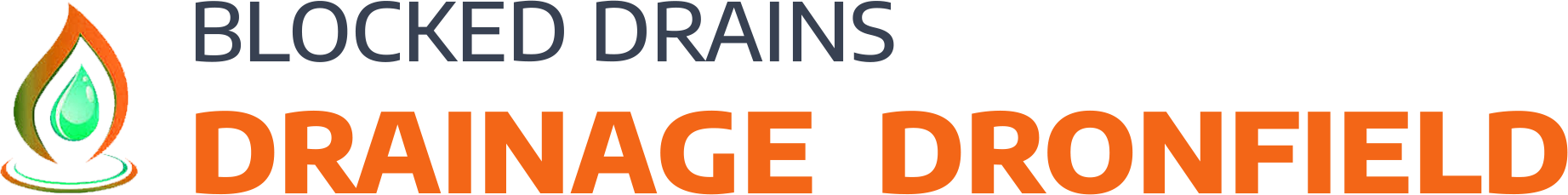 website logo